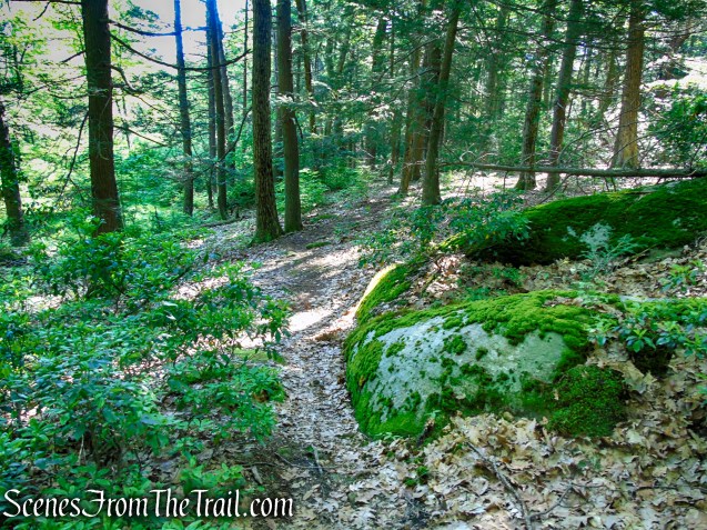 unmarked trail – Stahahe High Peak