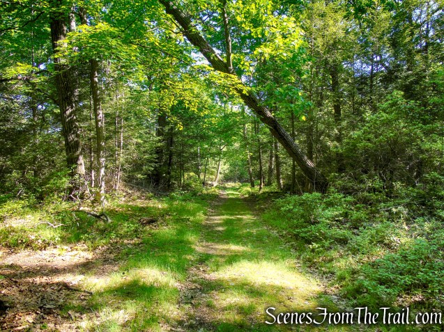 Island Pond Road – Harriman State Park