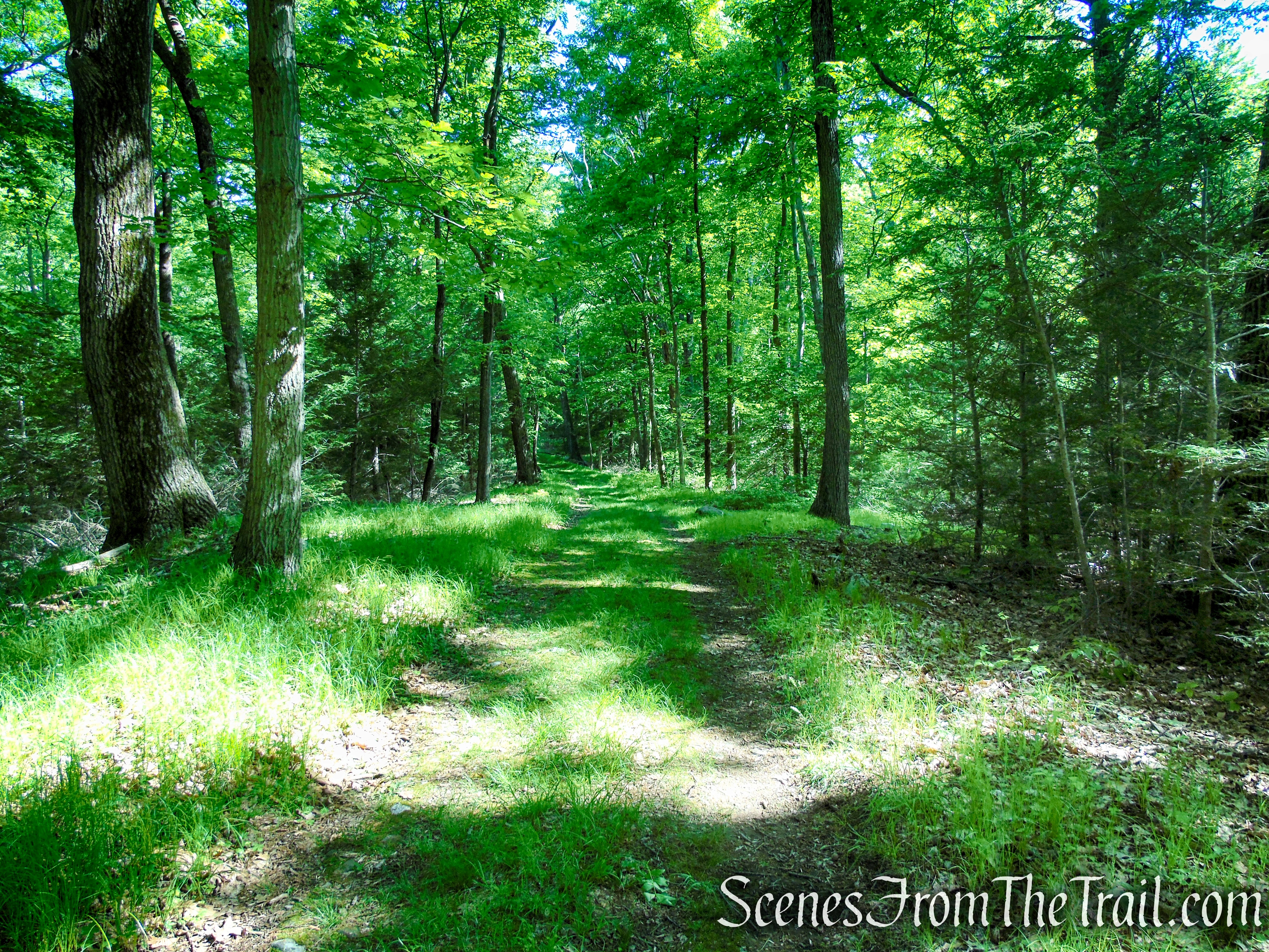 Island Pond Road – Harriman State Park