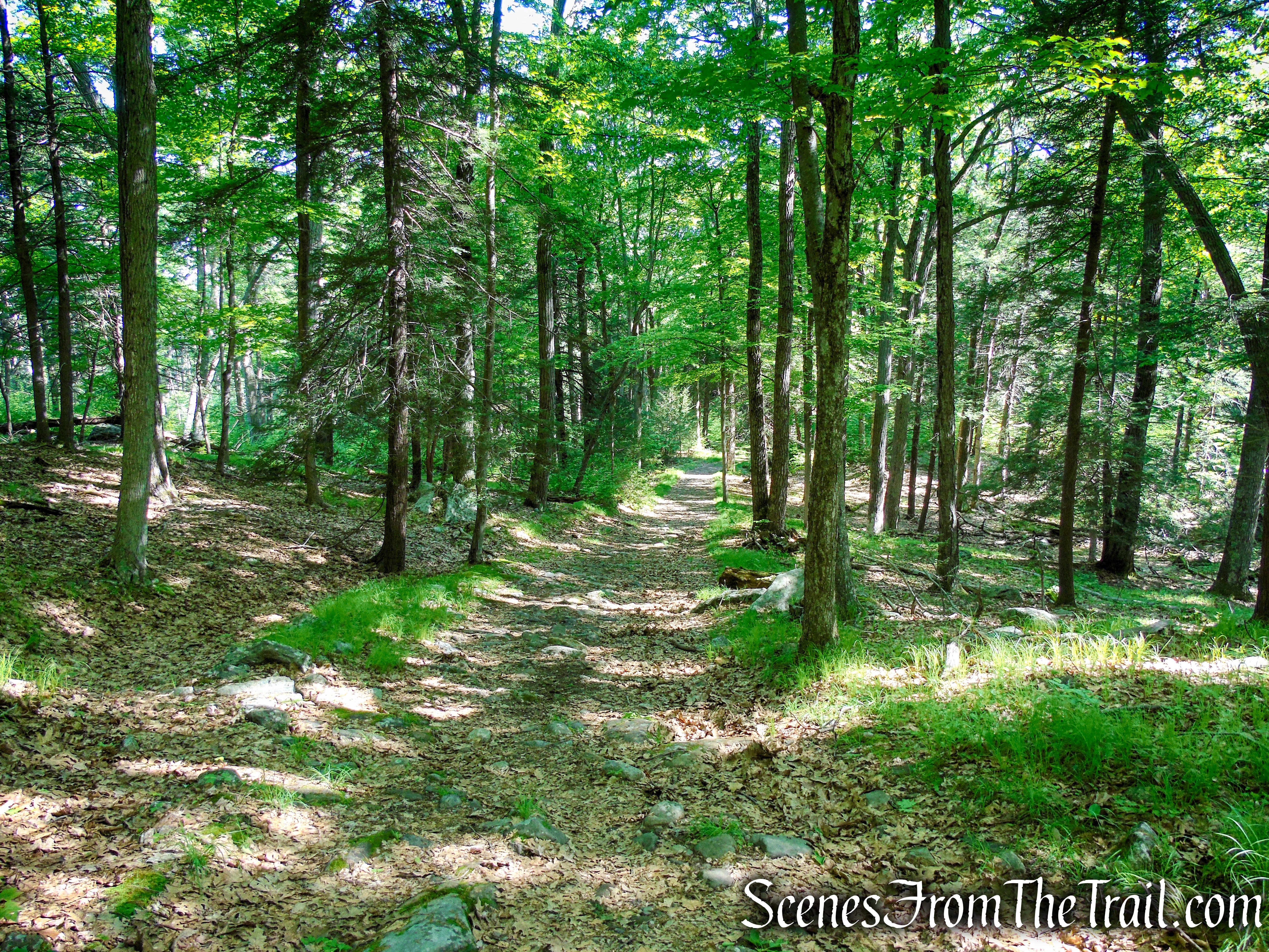 Island Pond Road – Harriman State Park