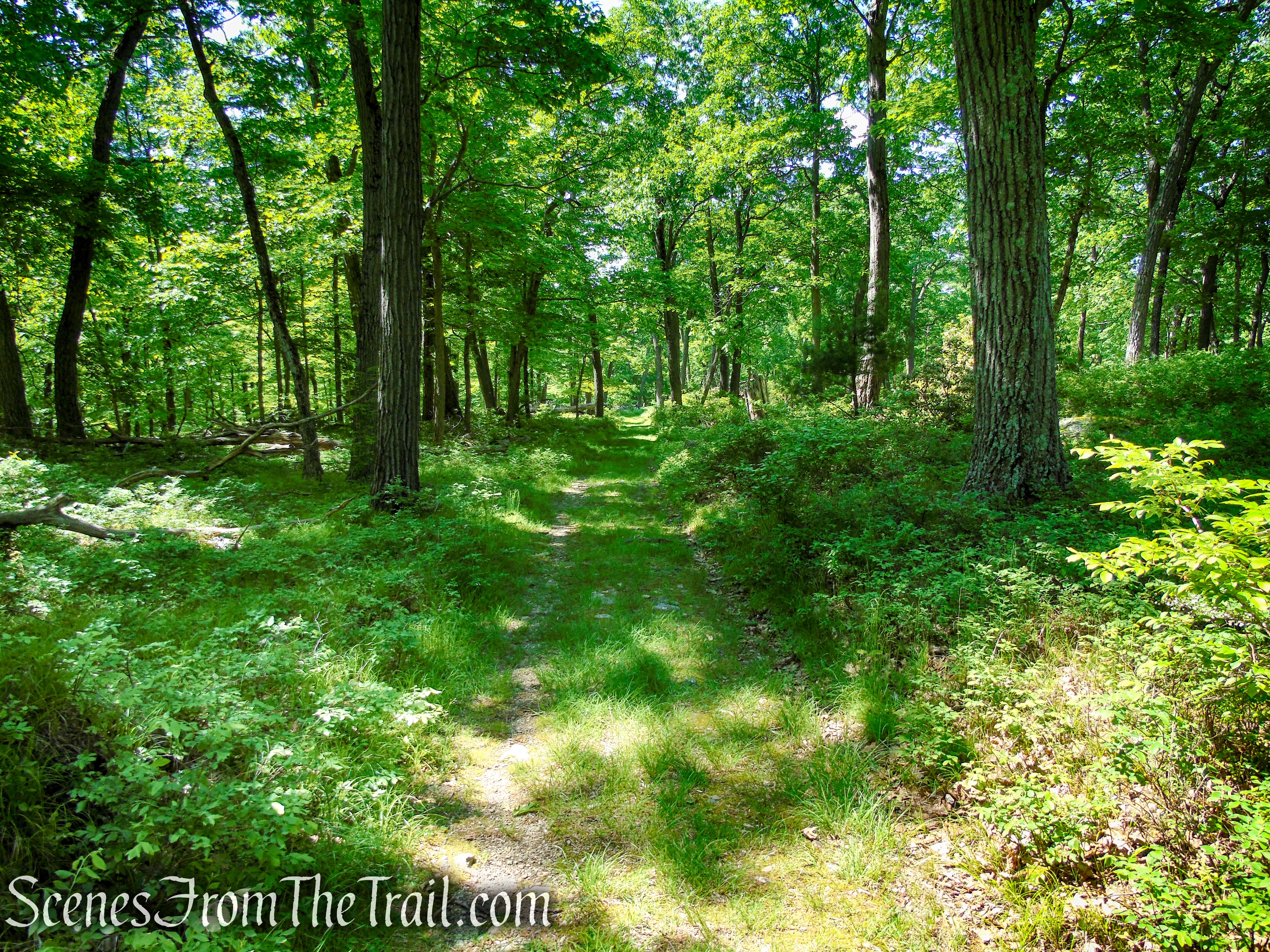 Island Pond Road - Harriman State Park