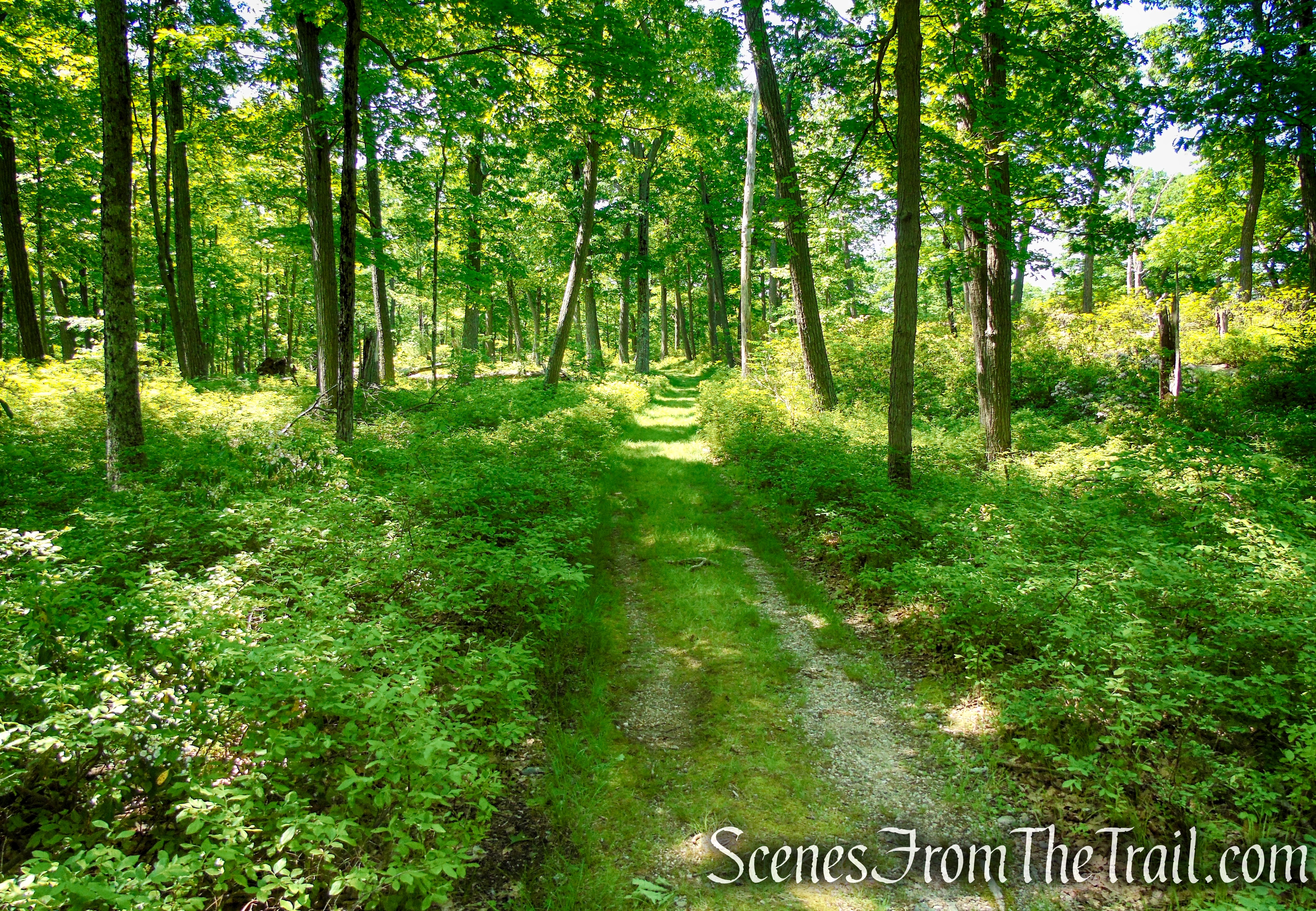 Island Pond Road - Harriman State Park