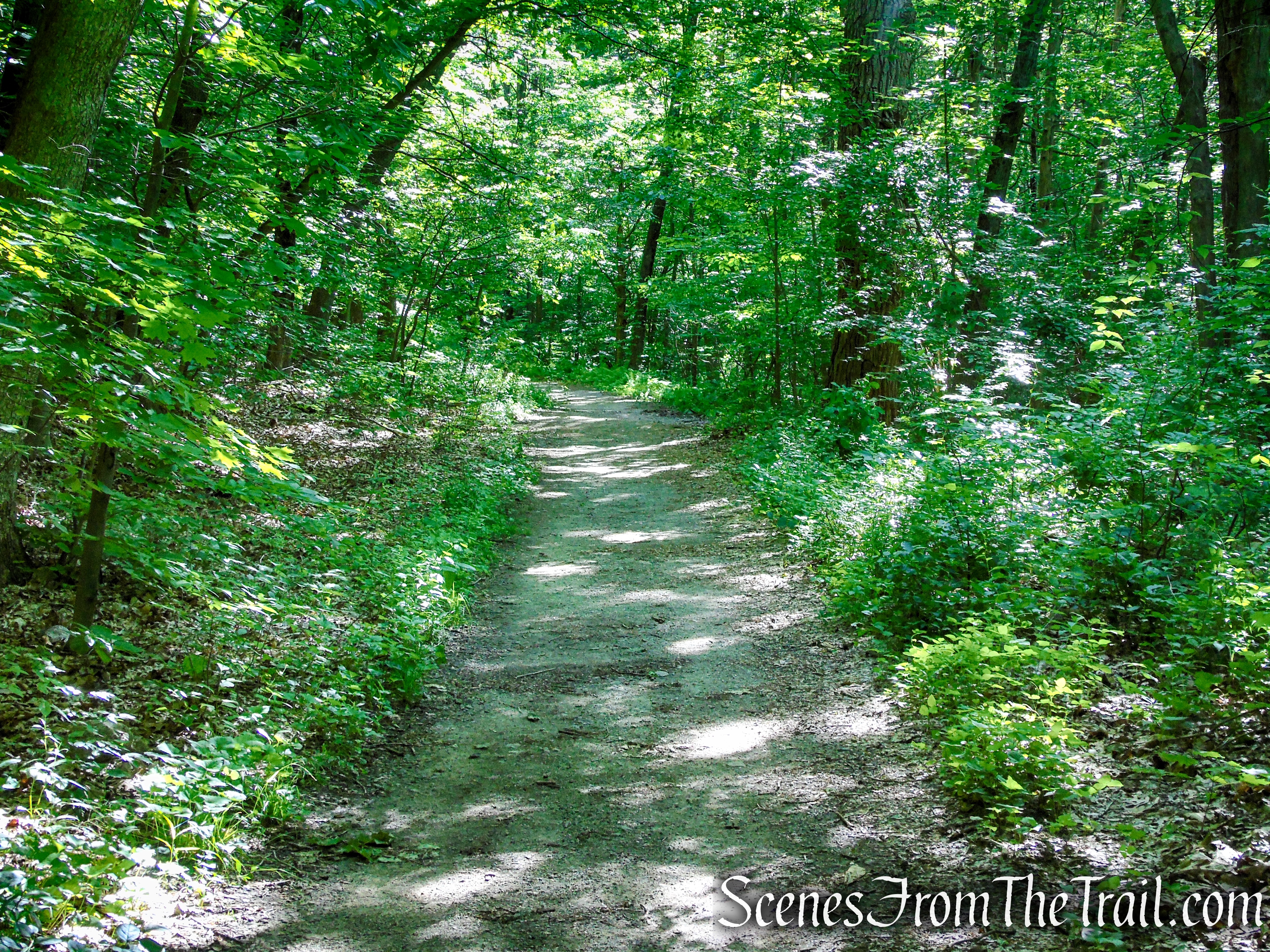 School Mountain Road - Fahnestock State Park
