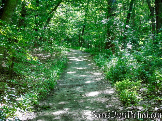 School Mountain Road - Fahnestock State Park