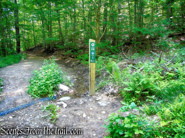 turn right on Fahnestock Trail