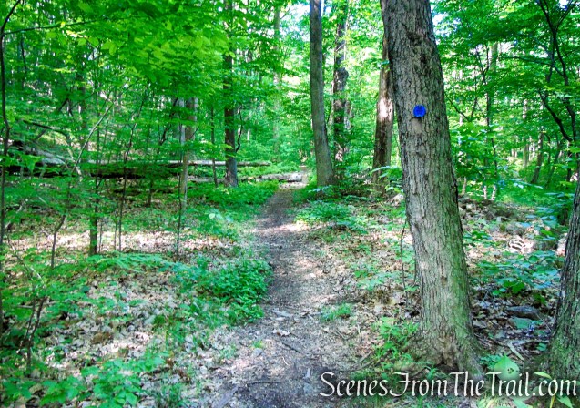 Fahnestock Trail - Round Hill