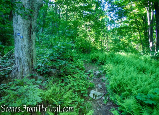 Fahnestock Trail - Round Hill