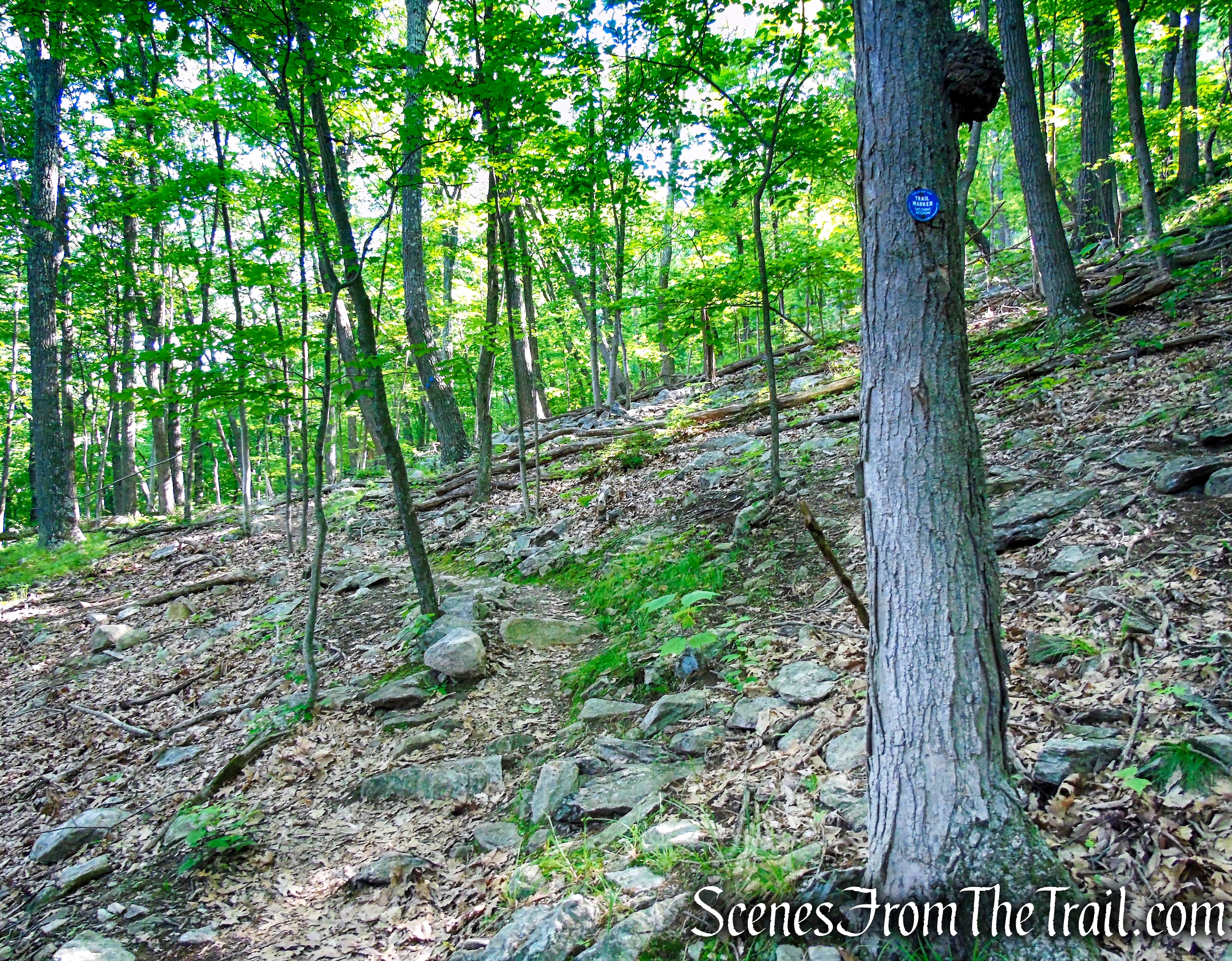 Fahnestock Trail - Round Hill