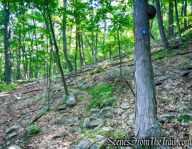 Fahnestock Trail - Round Hill