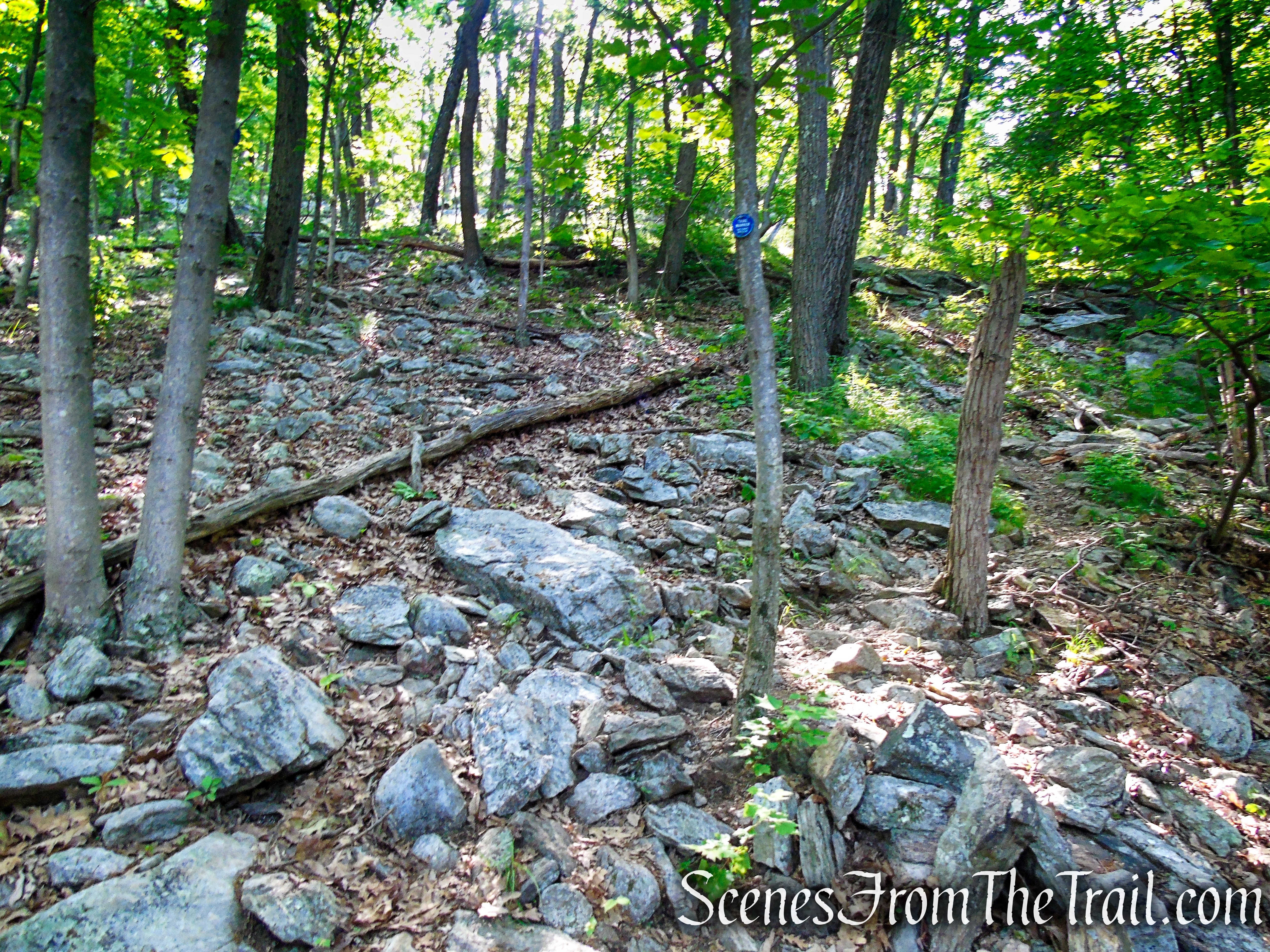 Fahnestock Trail - Round Hill