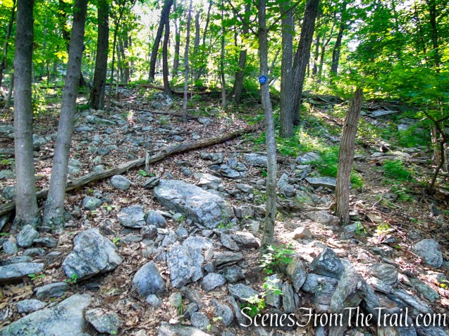 Fahnestock Trail - Round Hill