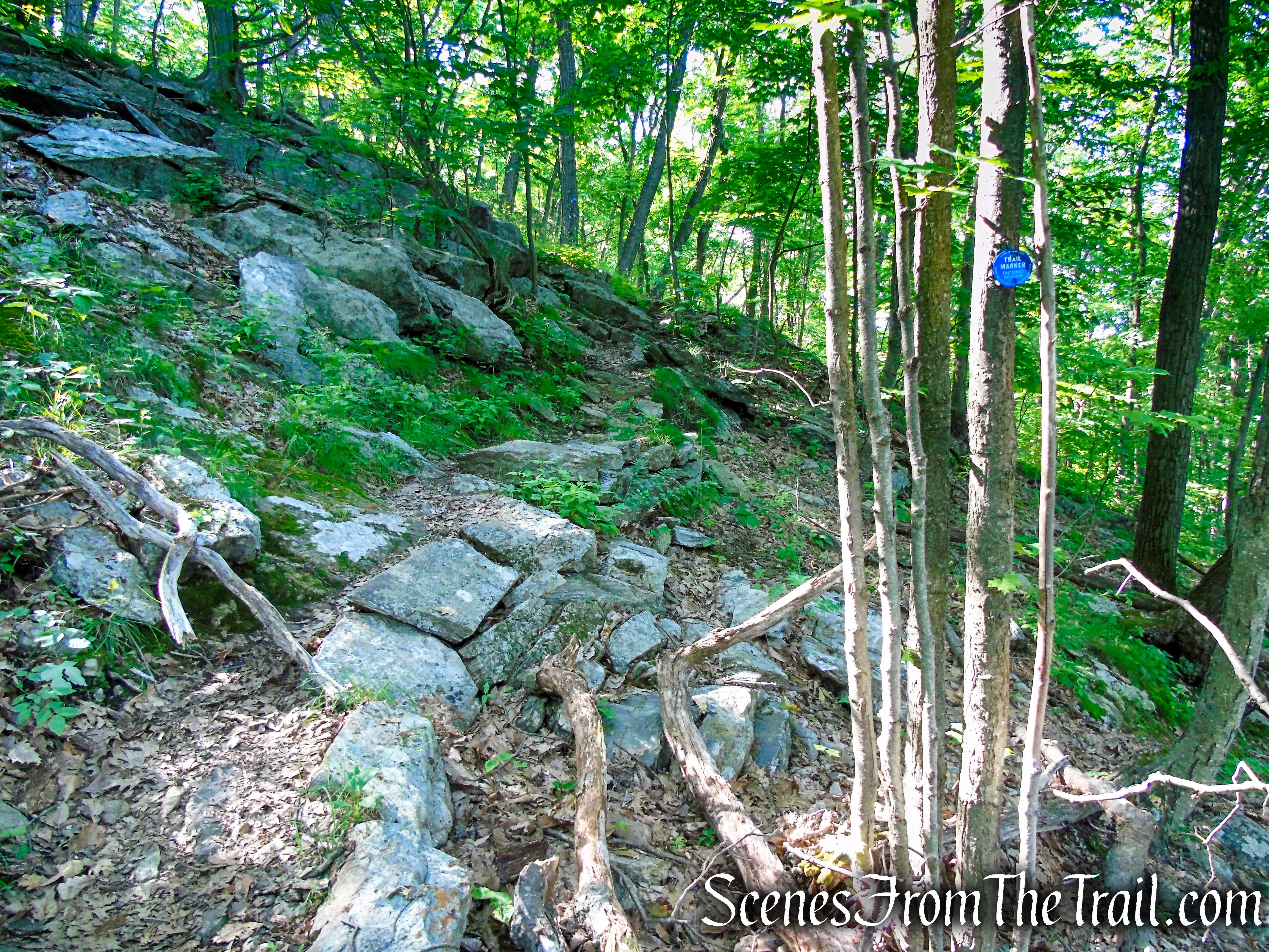Fahnestock Trail - Round Hill