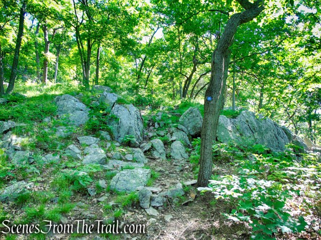 Fahnestock Trail - Round Hill