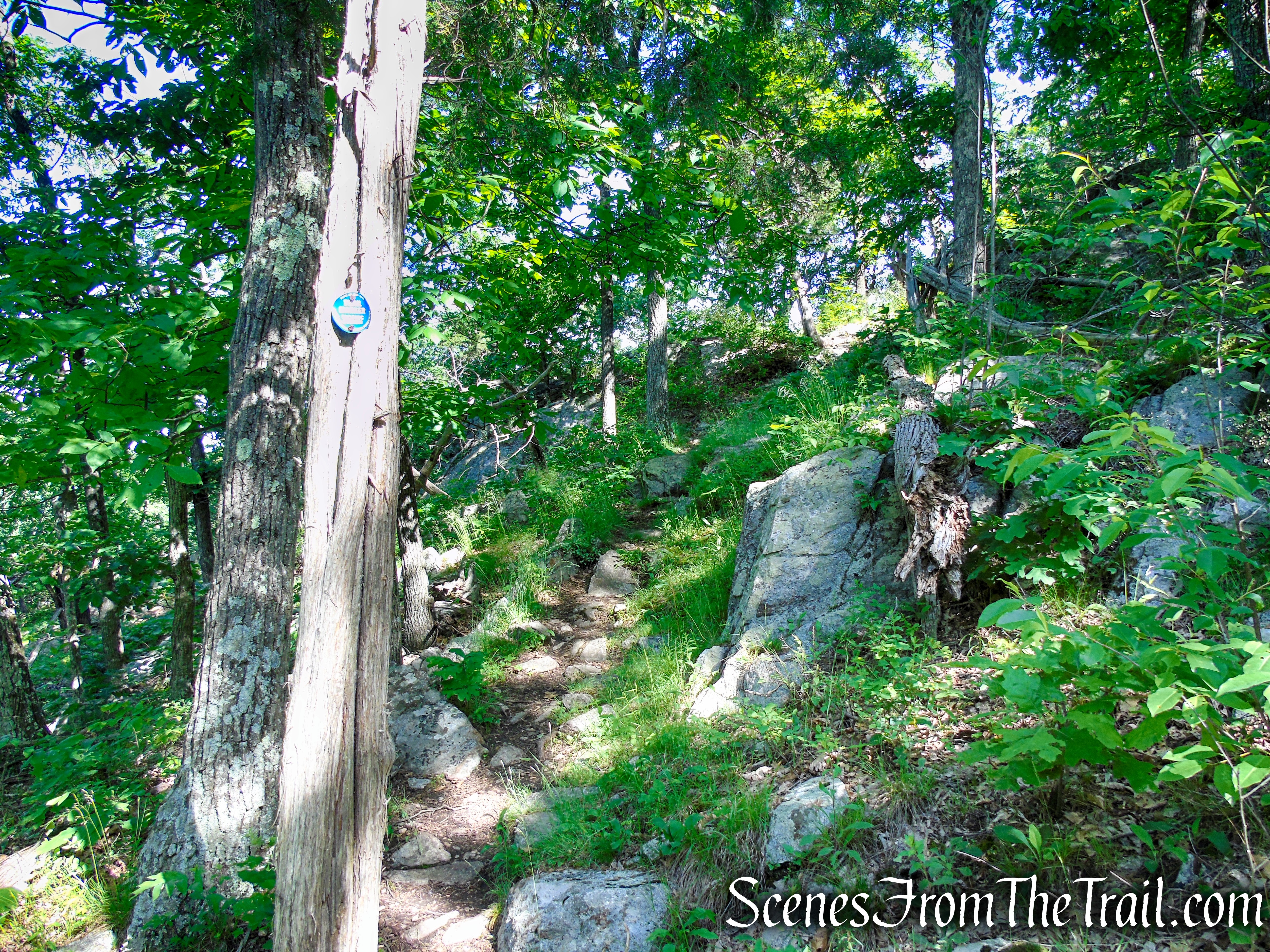 Fahnestock Trail - Round Hill