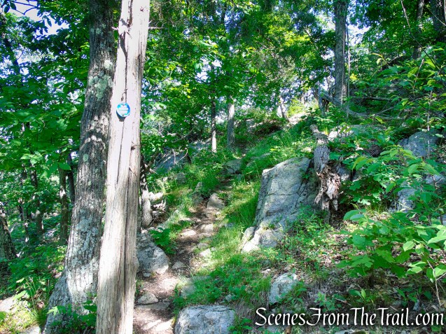 Fahnestock Trail - Round Hill