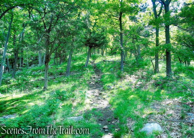 Fahnestock Trail - Round Hill