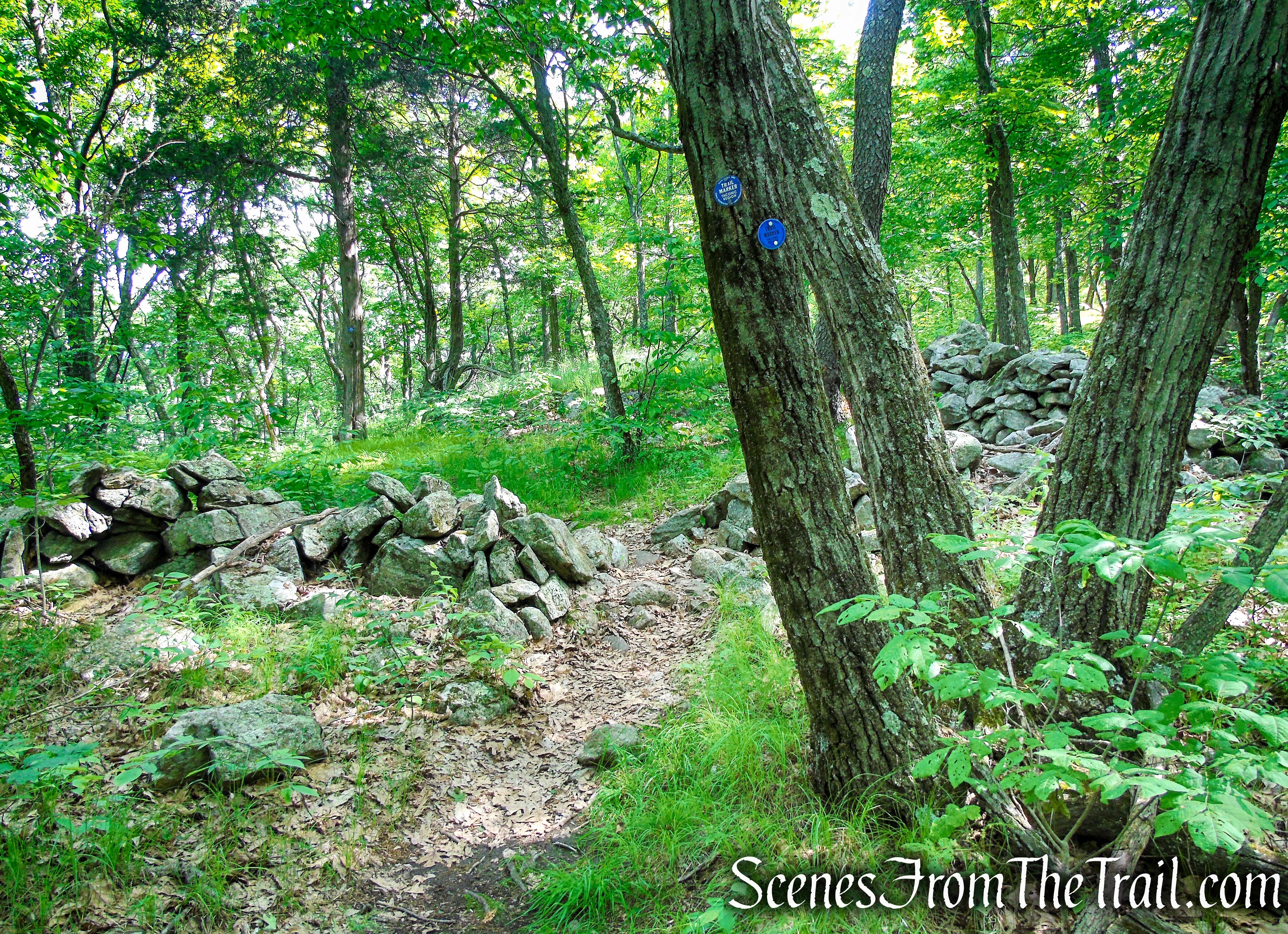 Fahnestock Trail - Round Hill