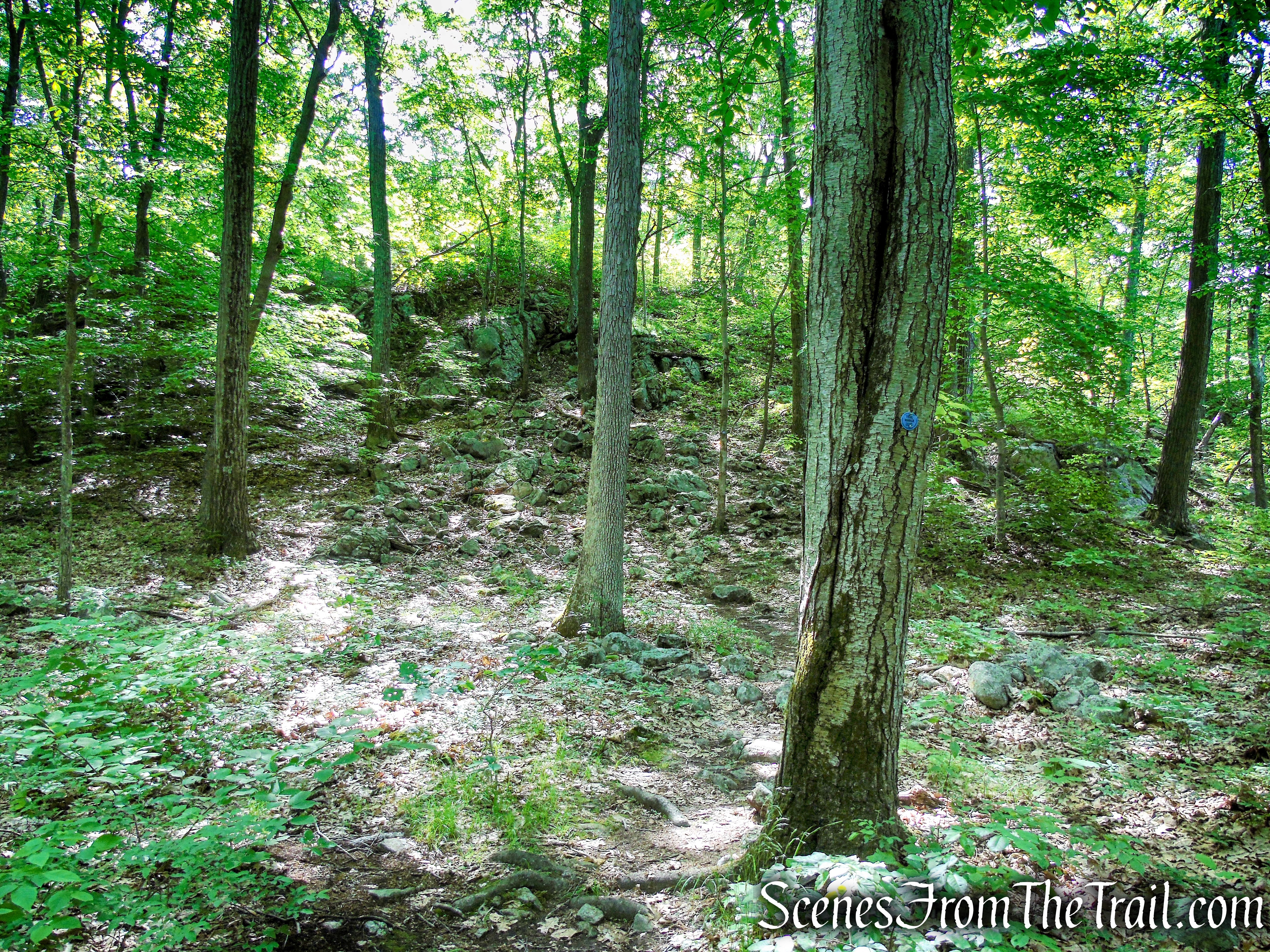 Fahnestock Trail - Round Hill