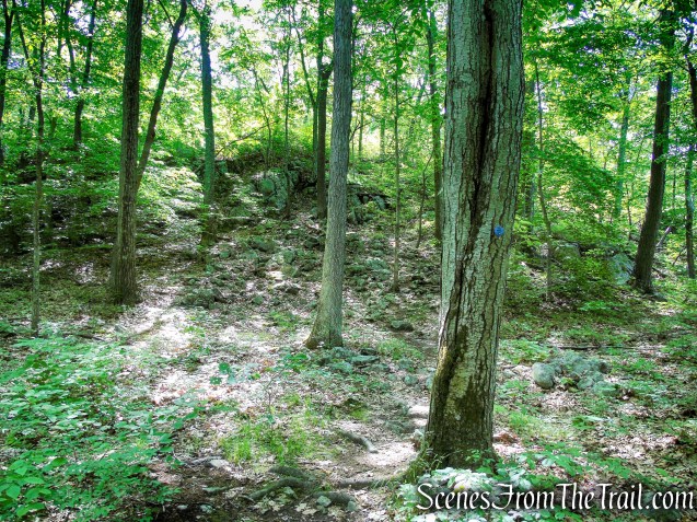 Fahnestock Trail - Round Hill