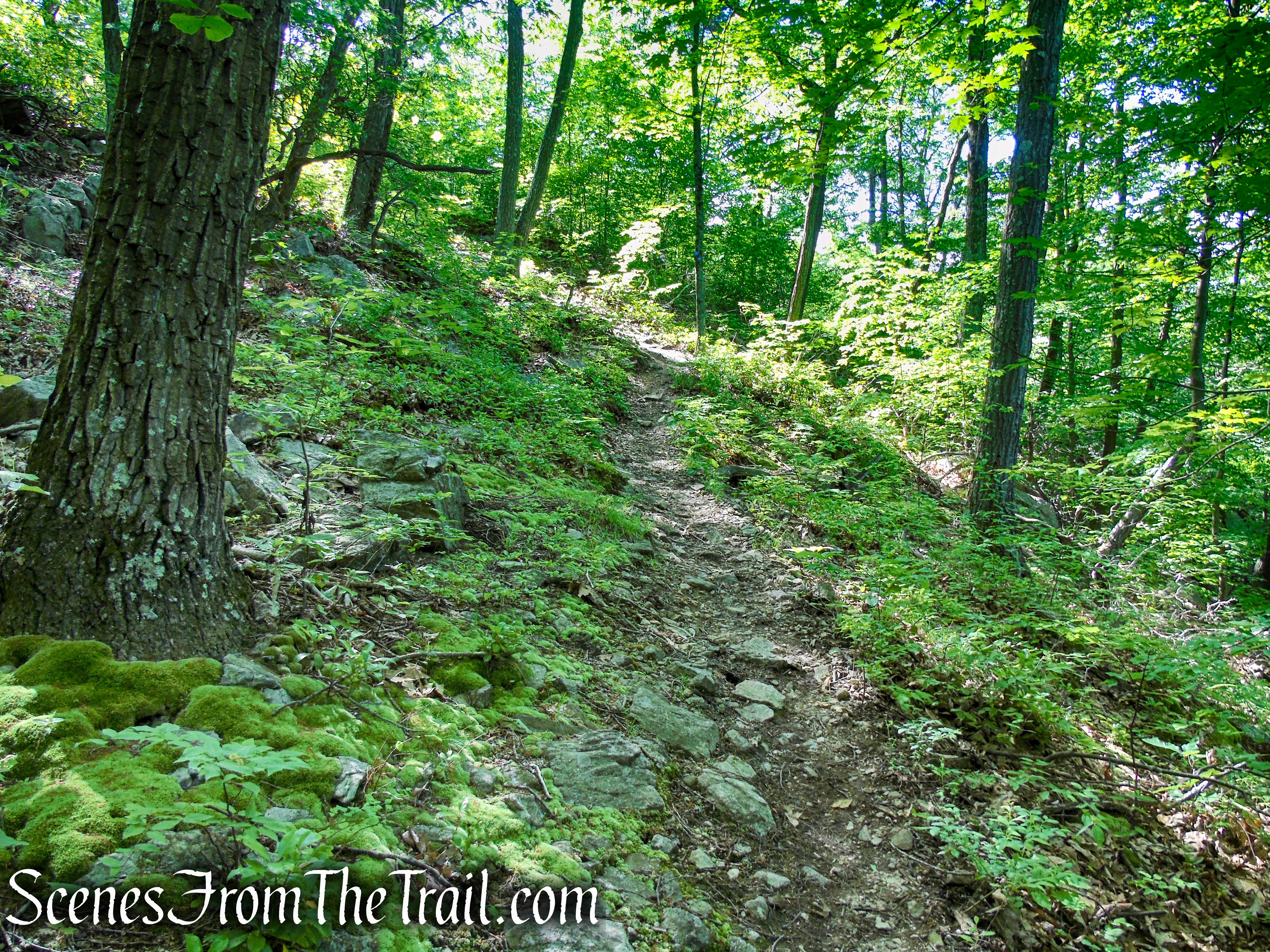 Fahnestock Trail - Round Hill