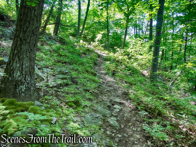 Fahnestock Trail - Round Hill