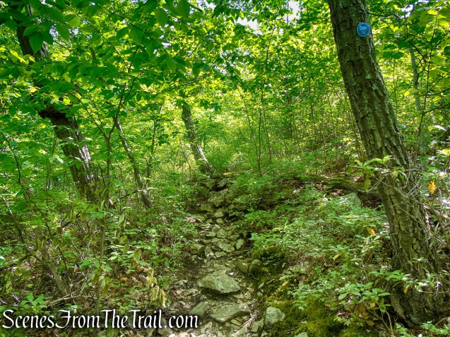 Fahnestock Trail - Round Hill