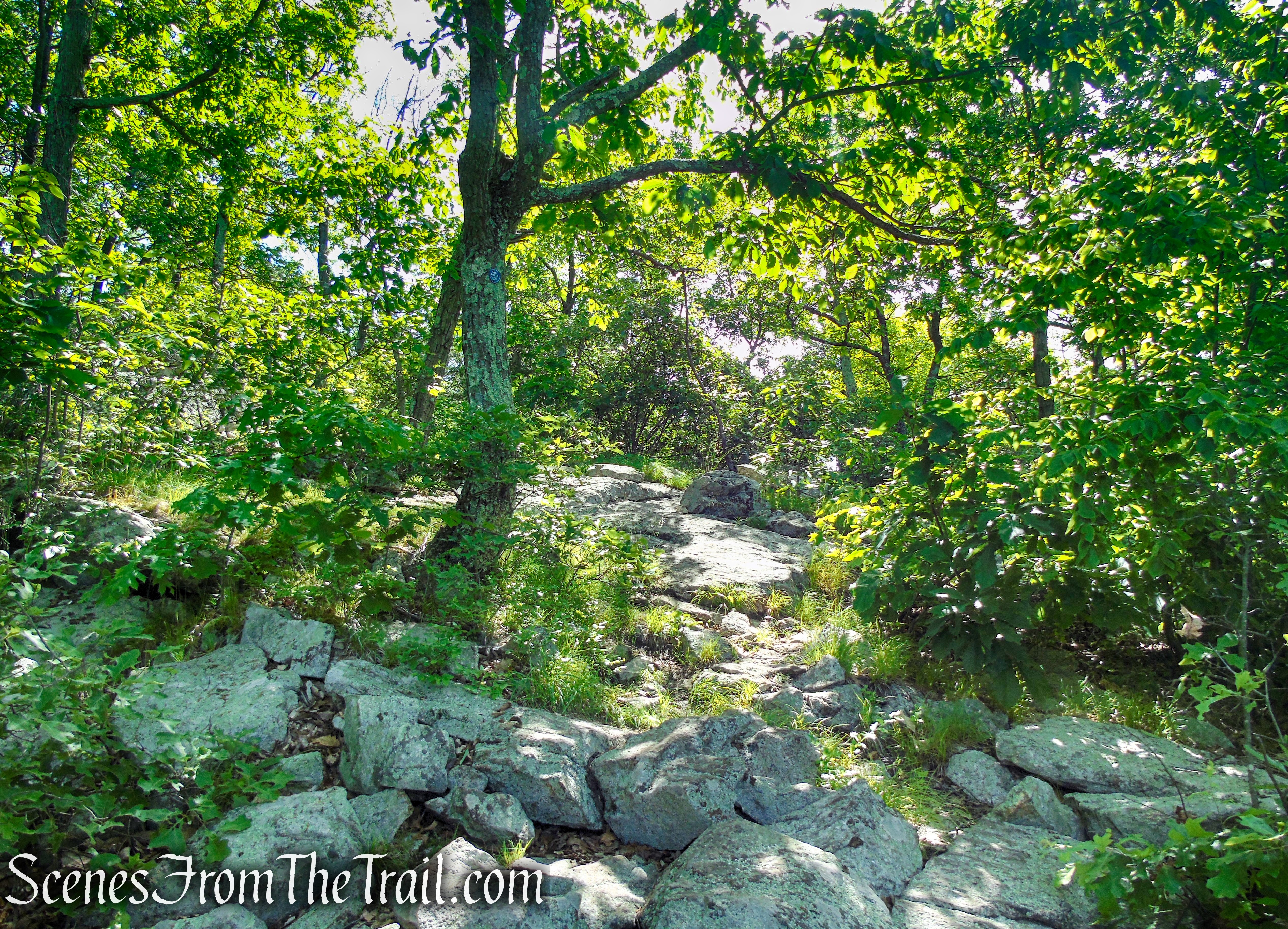 Fahnestock Trail - Round Hill