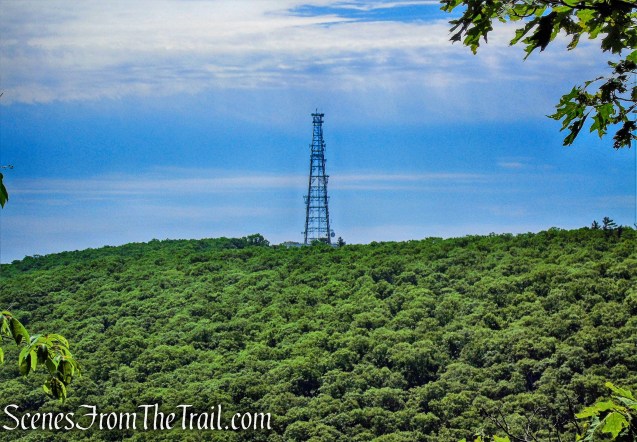 limited east-facing viewpoint - Round Hill