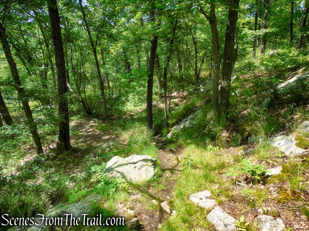 Fahnestock Trail - Round Hill