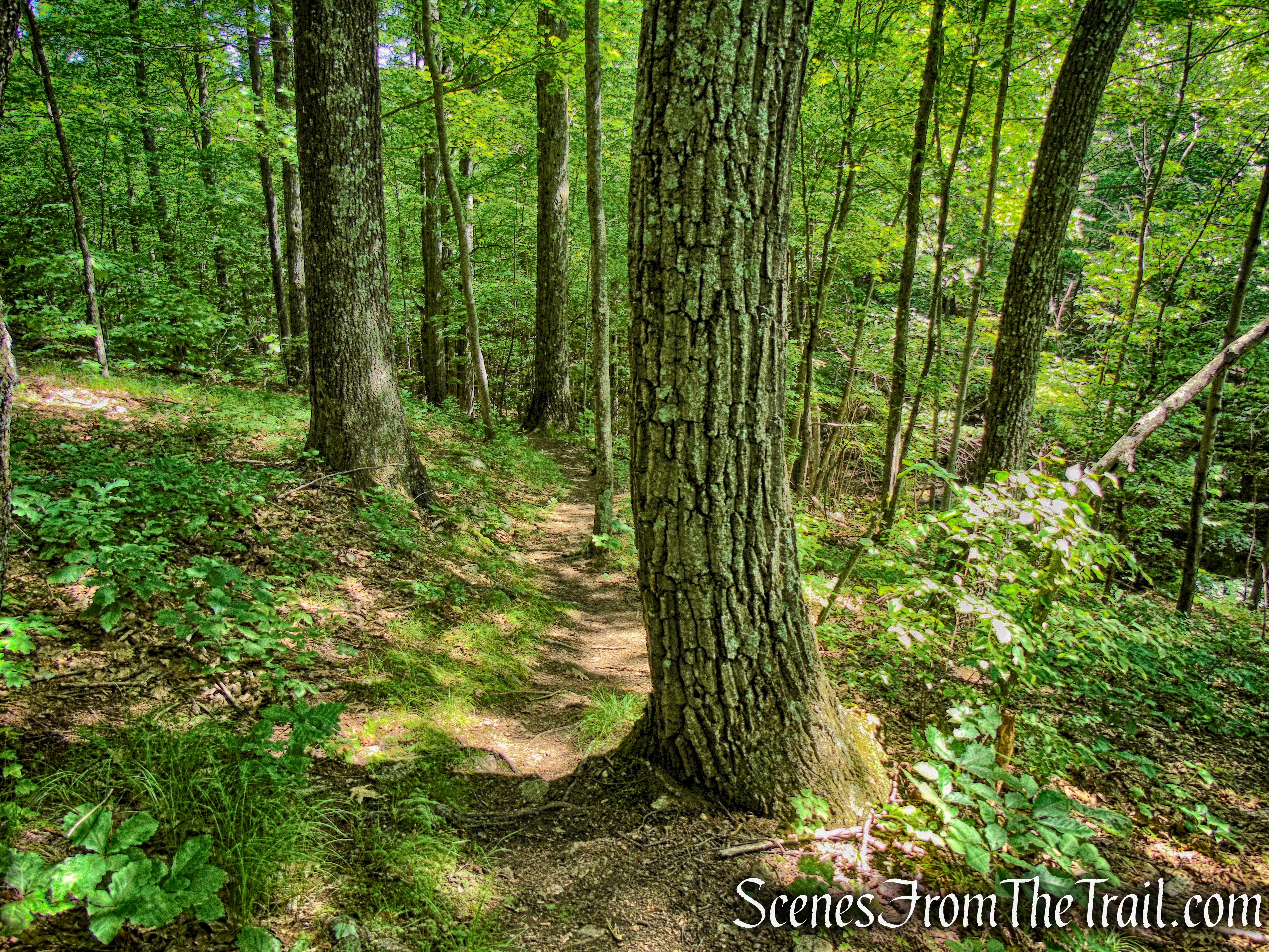 Fahnestock Trail - Round Hill