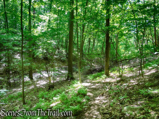 Fahnestock Trail - Round Hill