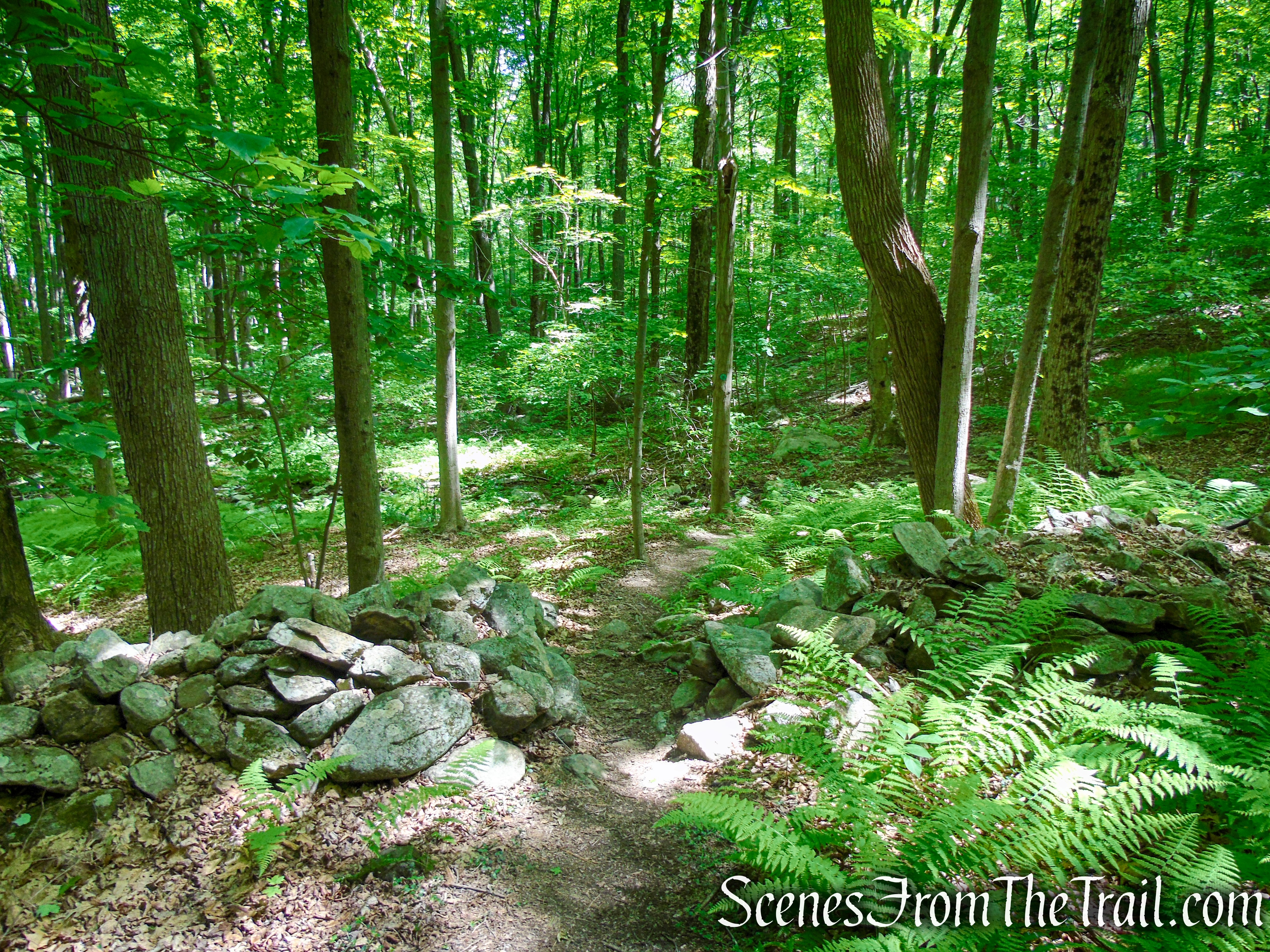 Round Hill Bypass Trail - Fahnestock State Park