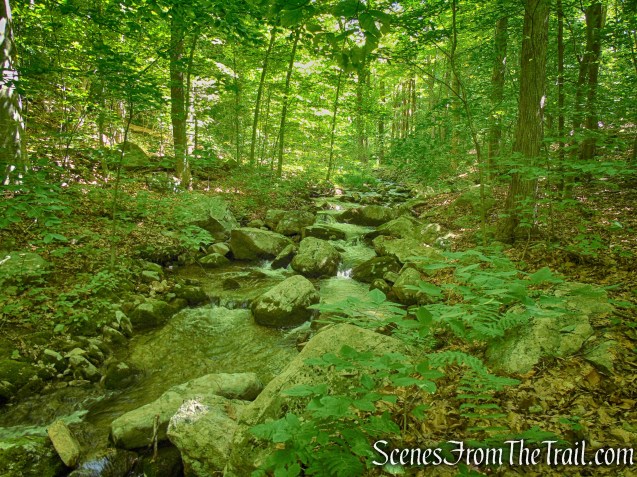 Round Hill Bypass Trail - Fahnestock State Park