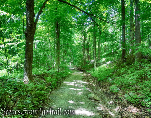 School Mountain Road - Fahnestock State Park