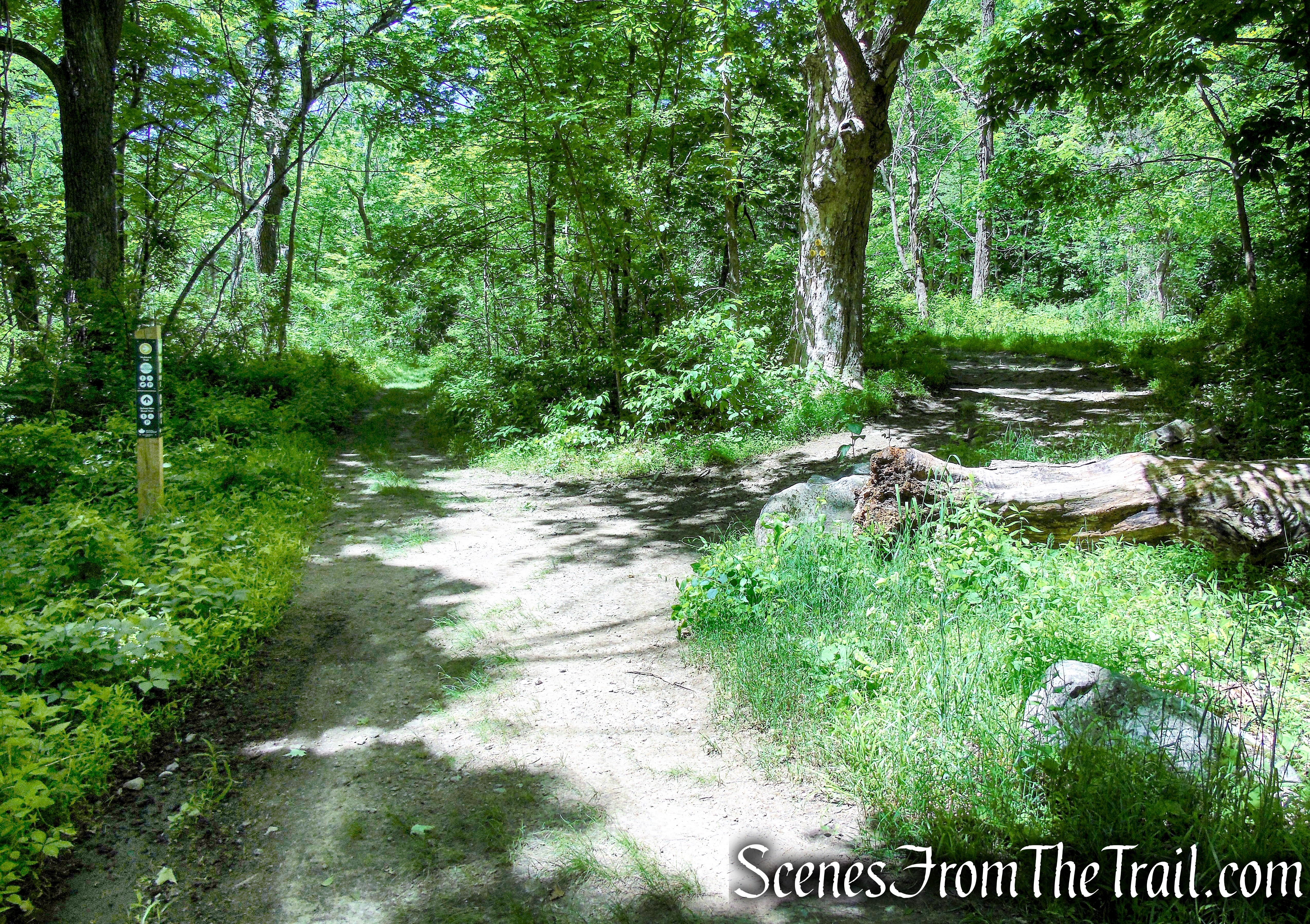 turn right on Hubbard Loop Trail