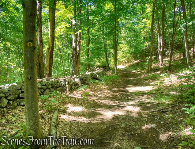 Hubbard Loop Trail - Fahnestock State Park