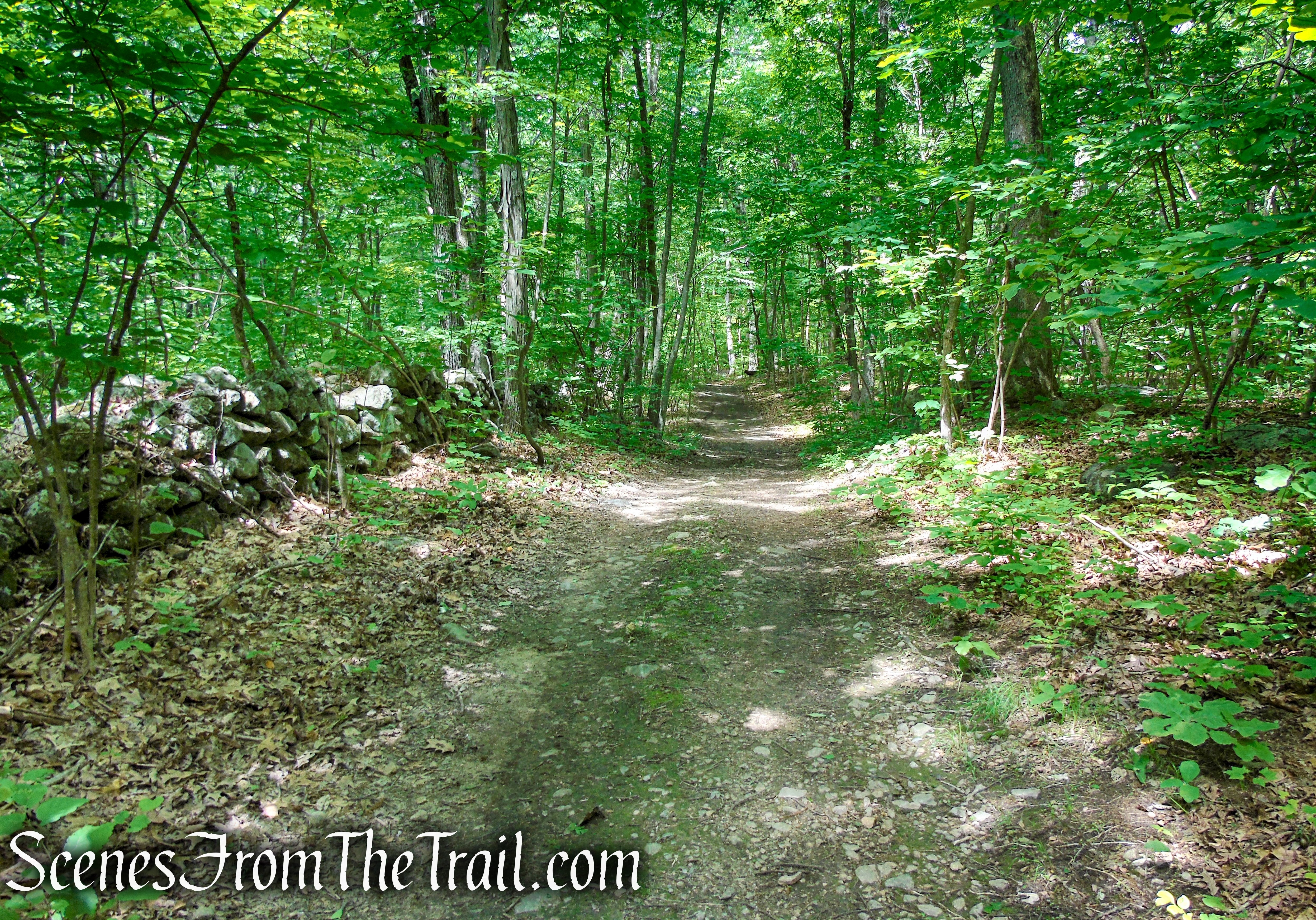 Hubbard Loop Trail - Fahnestock State Park