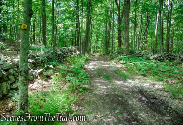 Hubbard Loop Trail - Fahnestock State Park