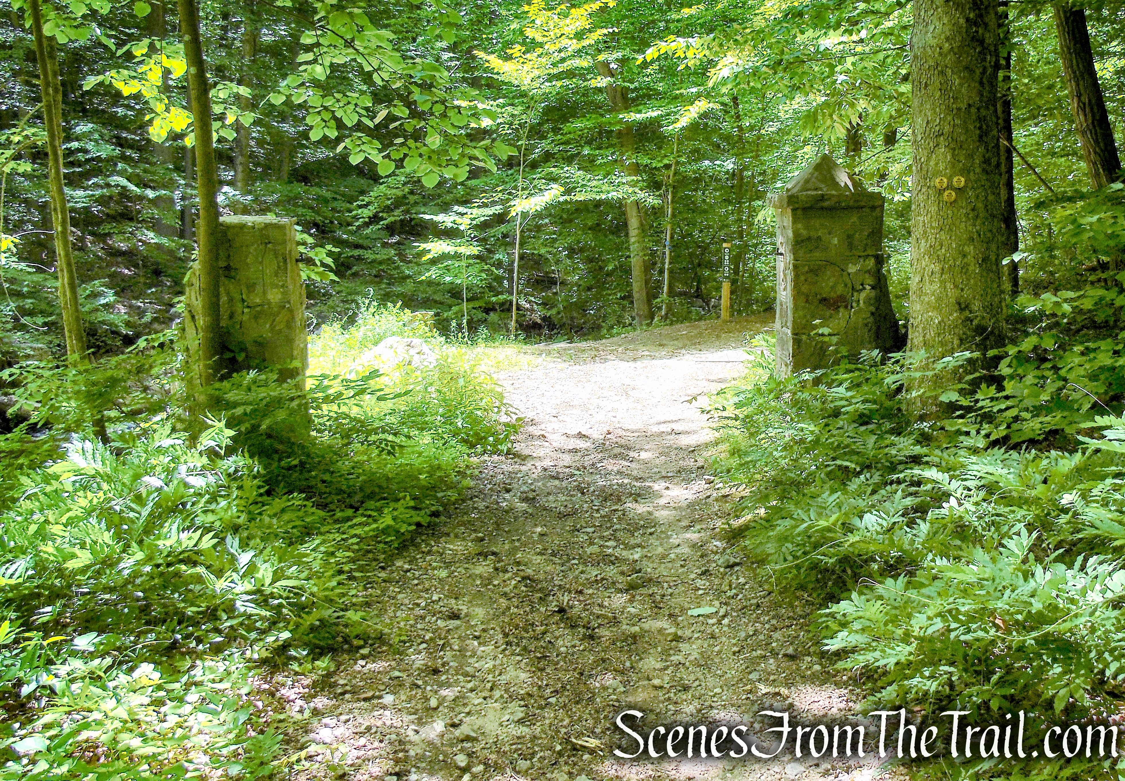 terminus of Hubbard Loop Trail