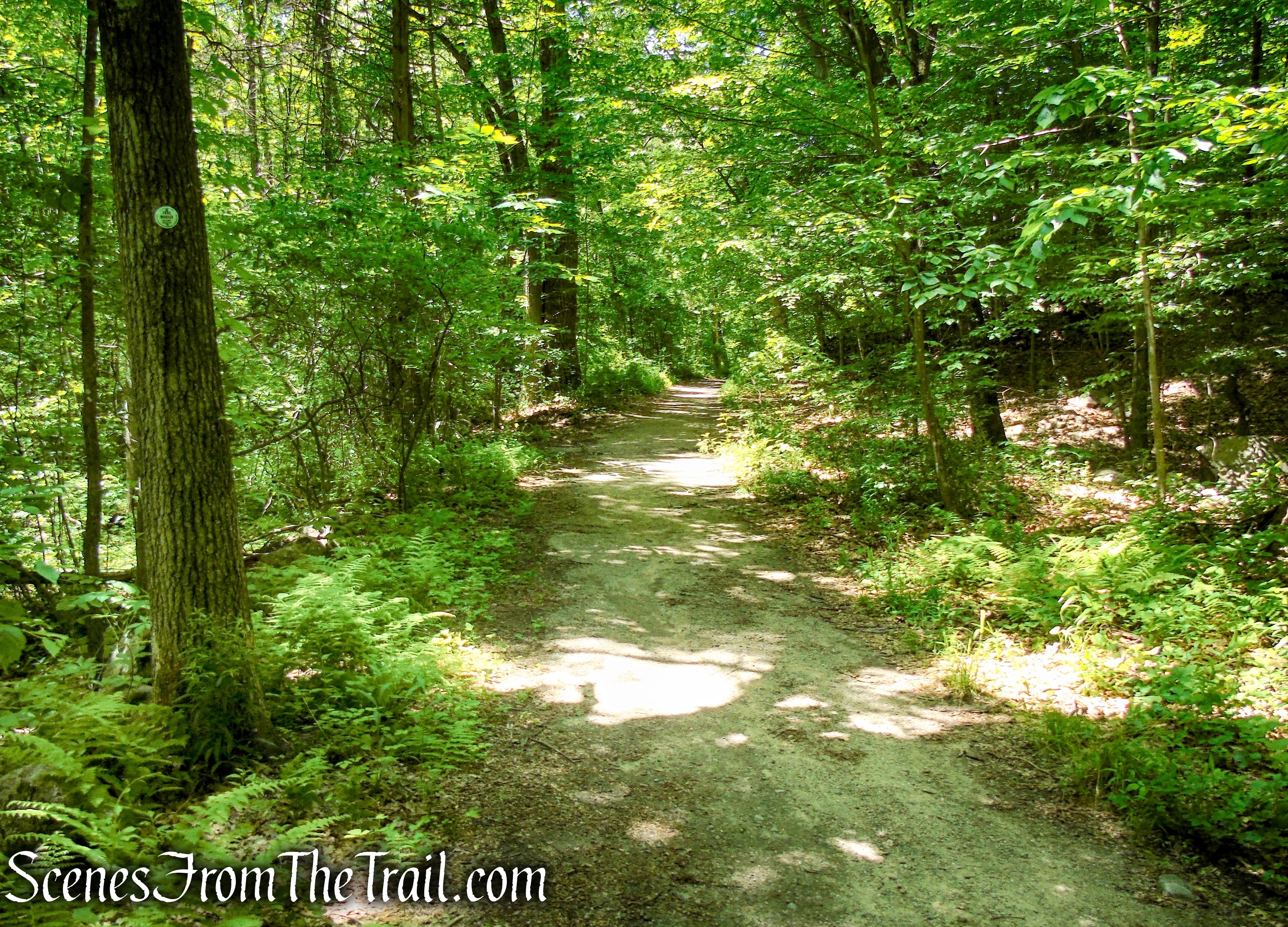 School Mountain Road - Fahnestock State Park