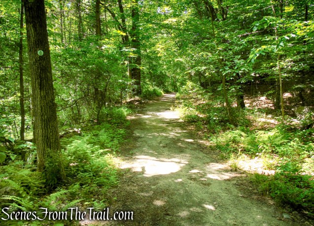 School Mountain Road - Fahnestock State Park