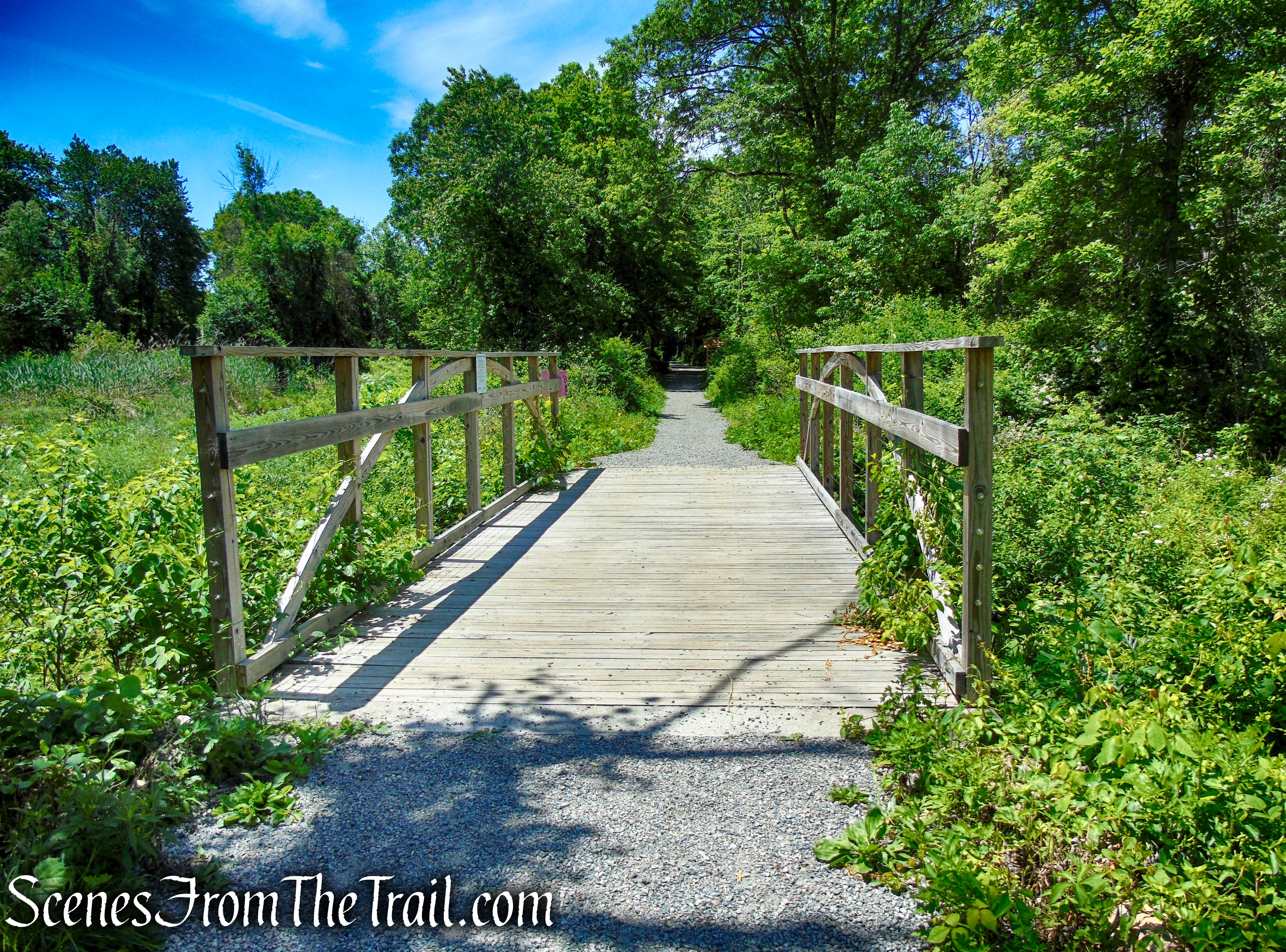 School Mountain Road - Fahnestock State Park