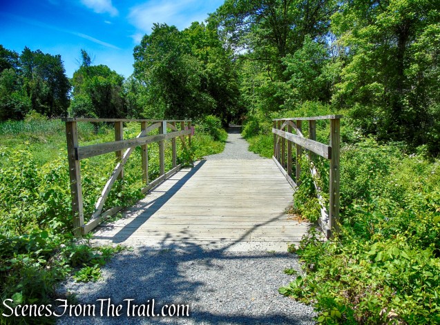 School Mountain Road - Fahnestock State Park