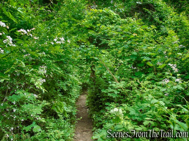 Appalachian Trail - Pawling, NY