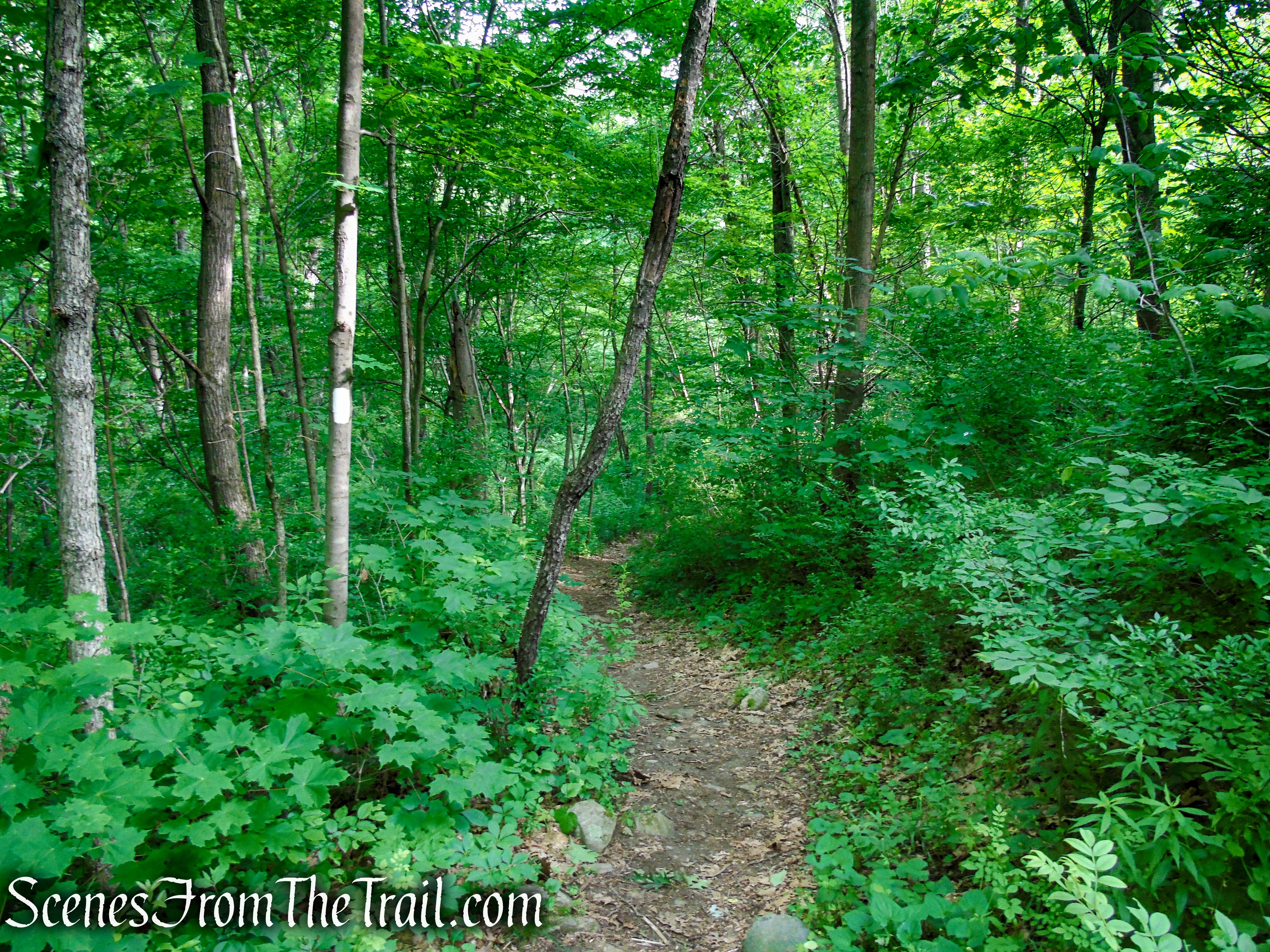 Appalachian Trail - Pawling, NY