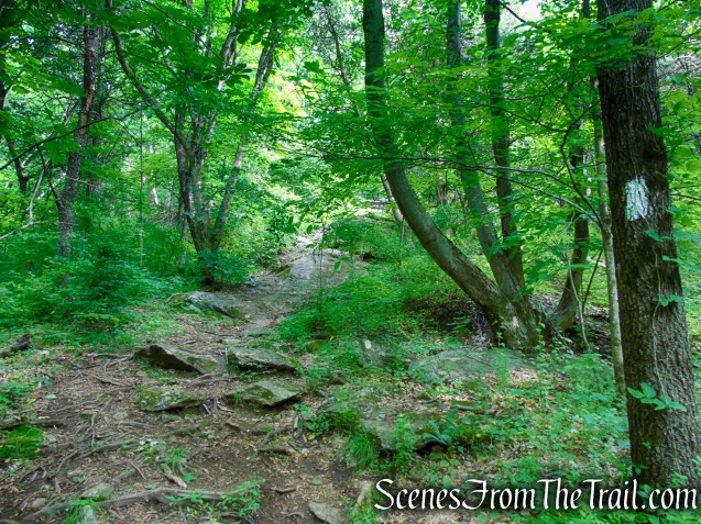 Appalachian Trail - Pawling, NY