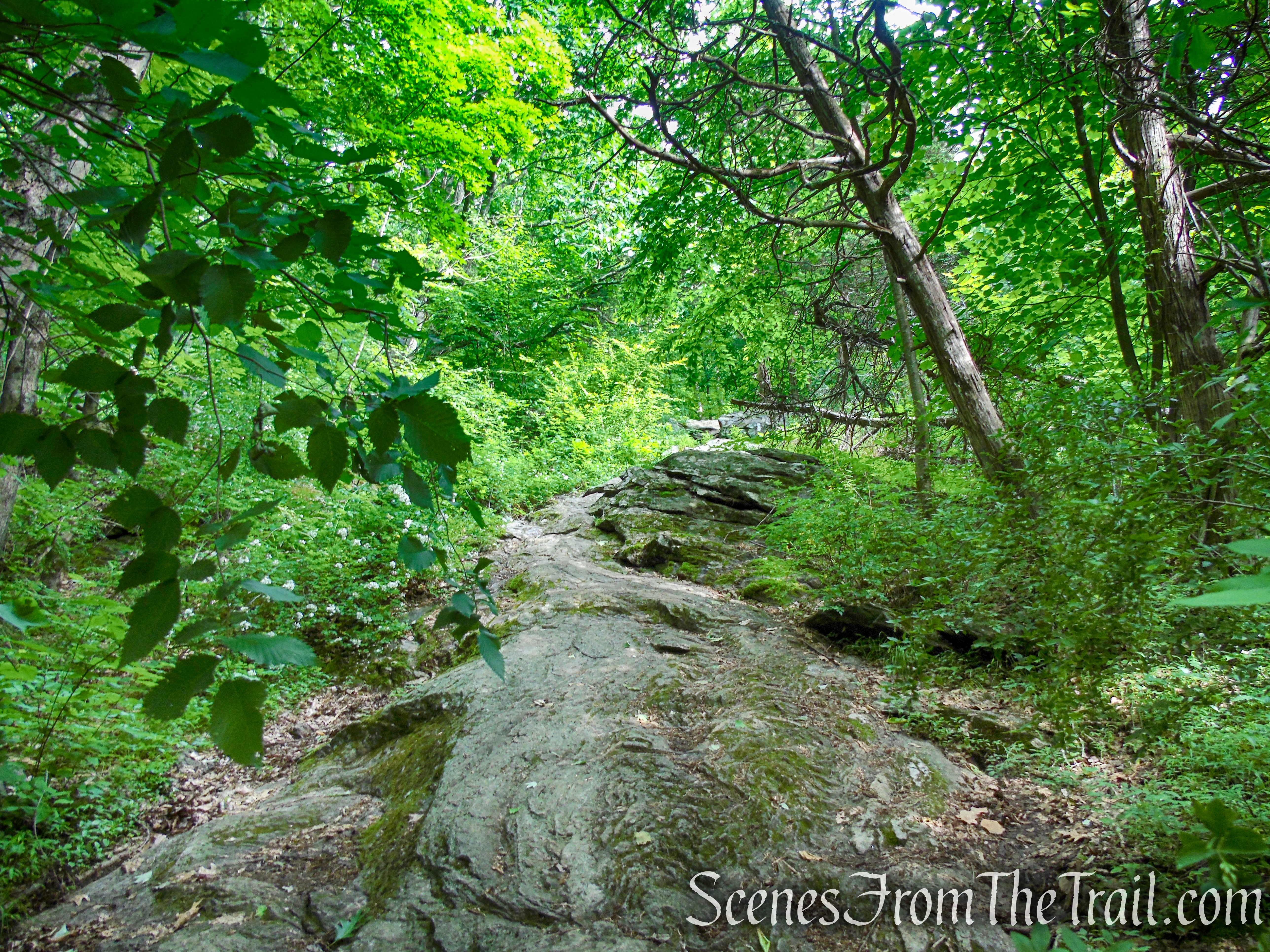 Appalachian Trail - Pawling, NY