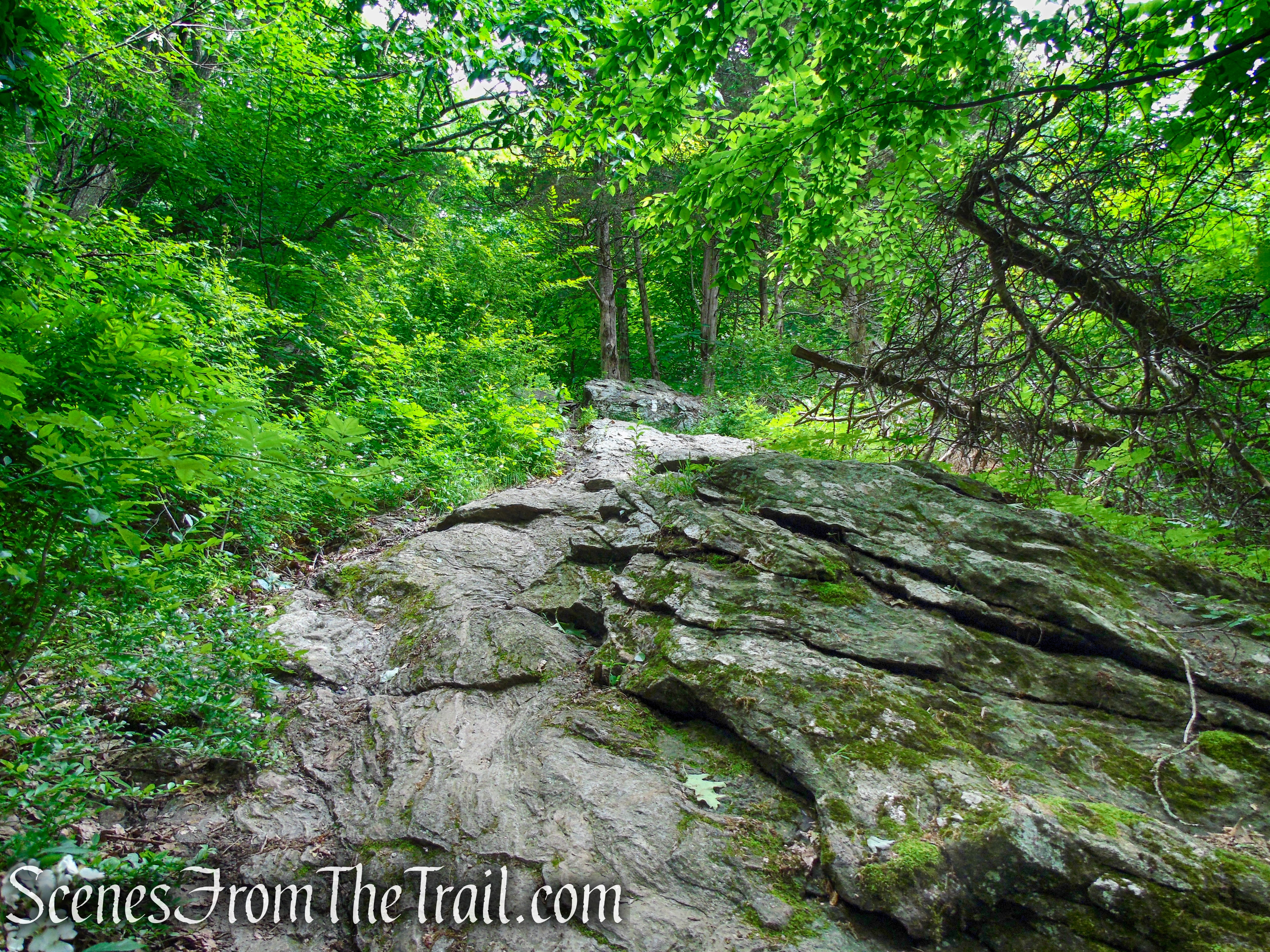 Appalachian Trail - Pawling, NY