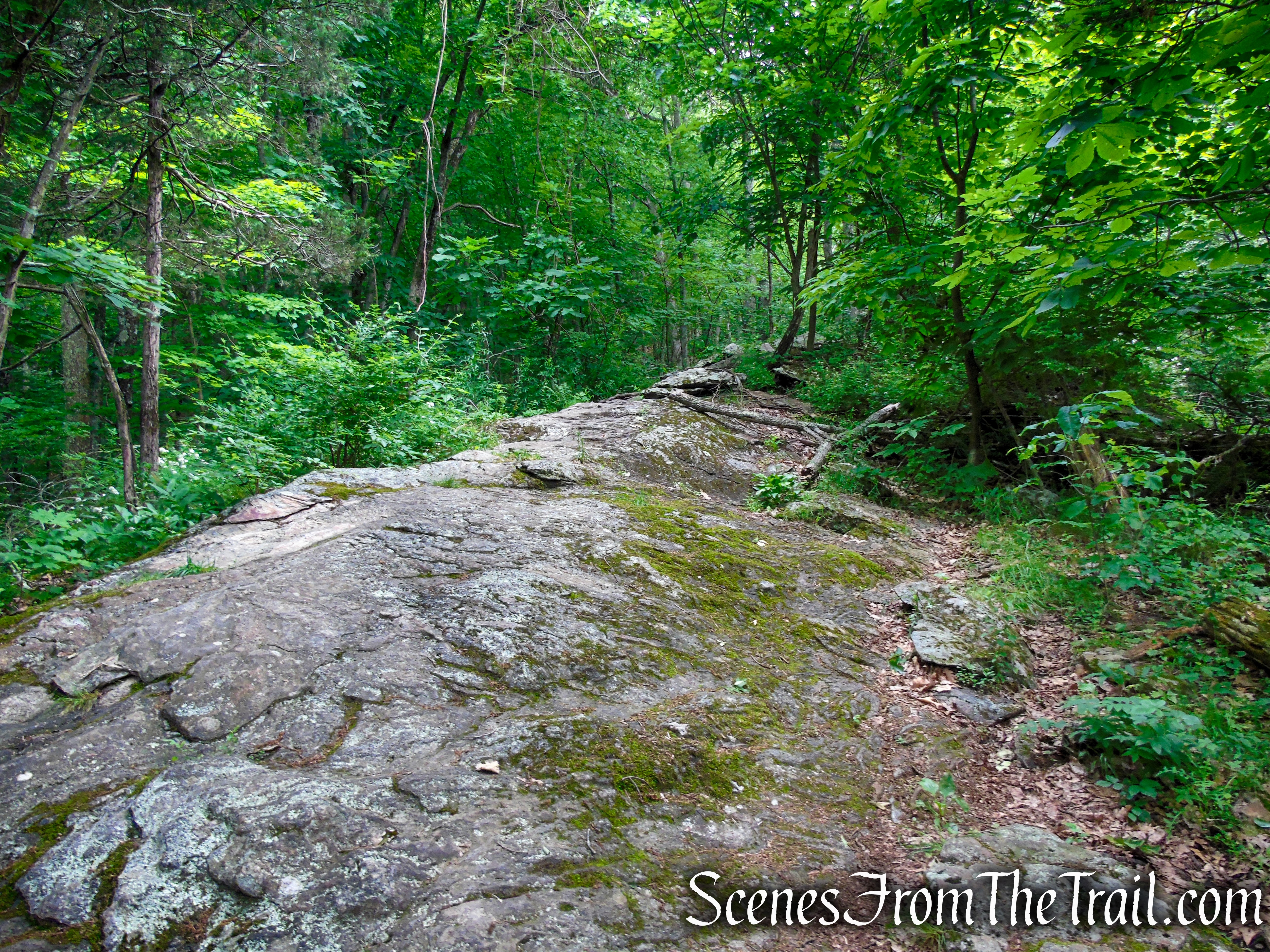 Appalachian Trail - Pawling, NY