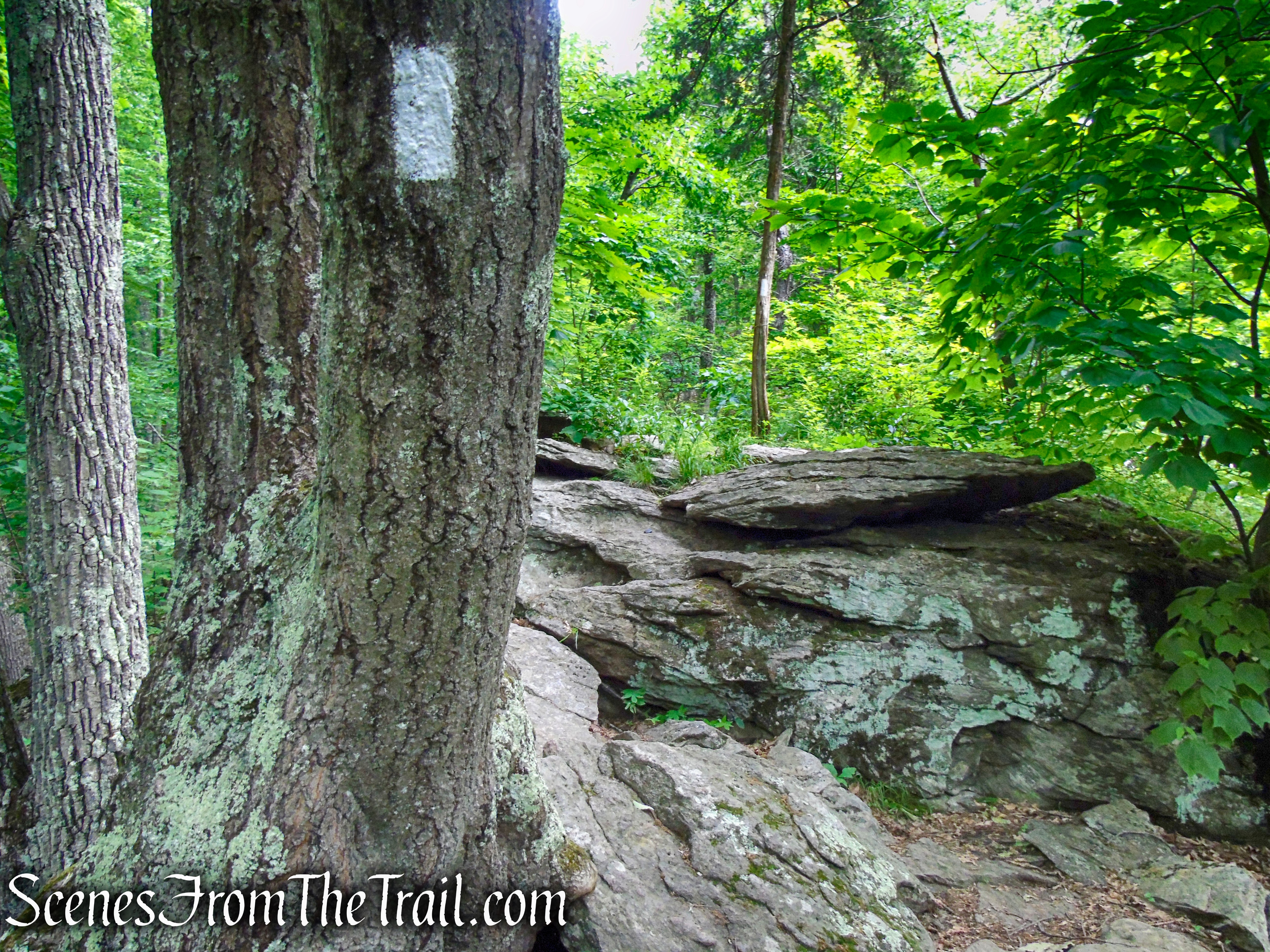 Appalachian Trail - Pawling, NY